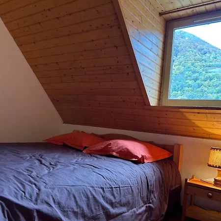 D-lys 펜션 코트레