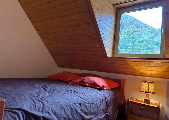 D-lys 펜션 코트레